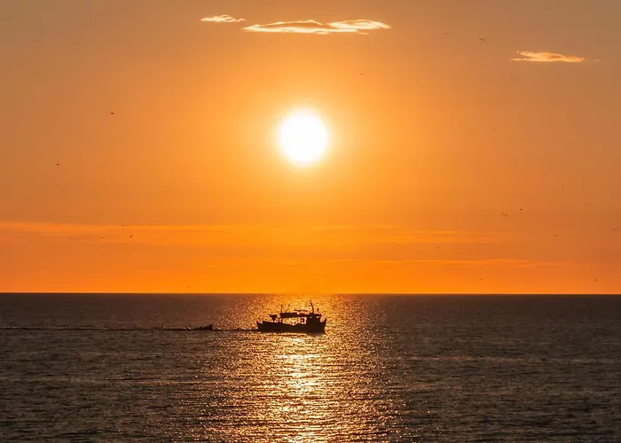 Aroma Azalea & Kamári