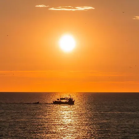 Aroma Azalea & Камари